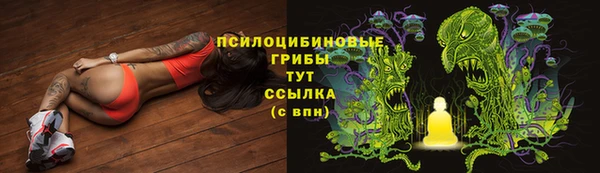 кокаин перу Богданович