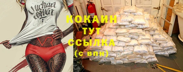 тгк Богородск