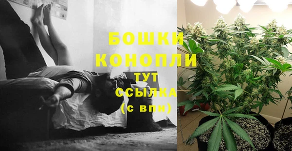 ПСИЛОЦИБИНОВЫЕ ГРИБЫ Богородицк