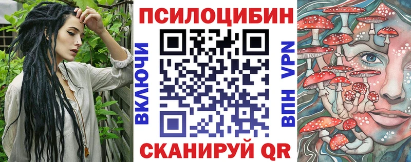 магазин продажи   Городище  mega онион  Псилоцибиновые грибы MAGIC MUSHROOMS 